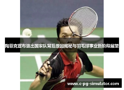 陶菲克宣布退出国家队背后原因揭秘与羽毛球事业新阶段展望