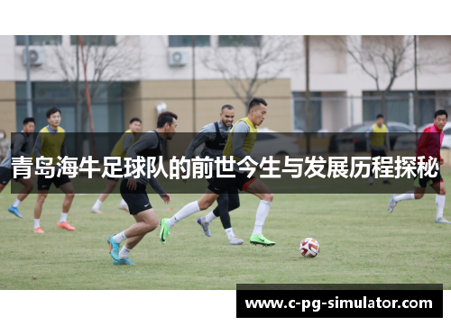 青岛海牛足球队的前世今生与发展历程探秘