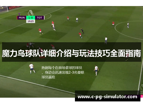 魔力鸟球队详细介绍与玩法技巧全面指南