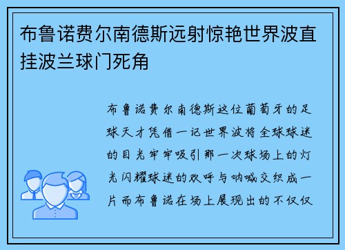 布鲁诺费尔南德斯远射惊艳世界波直挂波兰球门死角