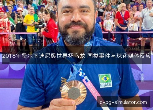 2018年费尔南迪尼奥世界杯乌龙 同类事件与球迷媒体反应